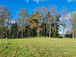 Parcela en Venta en v-26, Los Lagos, Frutillar, foto 6