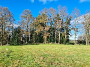 Parcela en Venta en v-26, Los Lagos, Frutillar, foto 12