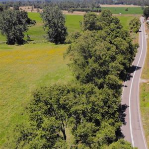 Parcela en Venta en v-26, Los Lagos, Frutillar, foto 9