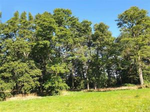 Parcela en Venta en v-26, Los Lagos, Frutillar, foto 14