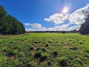 Parcela en Venta en v-26, Los Lagos, Frutillar, foto 13