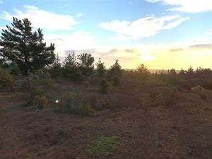 Parcela en Venta en Ciruelos, Bernardo OHiggins, Pichilemu, foto 9