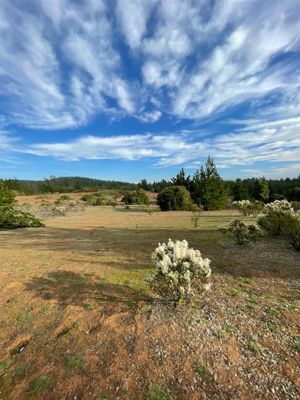 Parcela en Venta en Ciruelos, Bernardo OHiggins, Pichilemu, foto 12