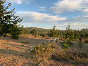 Parcela en Venta en Ciruelos, Bernardo OHiggins, Pichilemu, foto 10