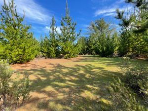 Parcela en Venta en Ciruelos, Bernardo OHiggins, Pichilemu, foto 8