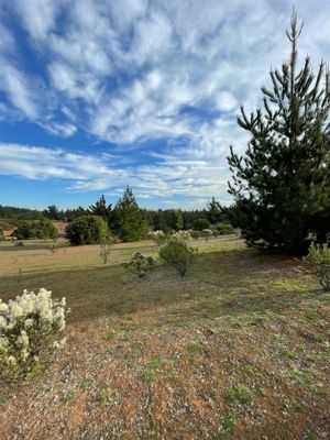 Parcela en Venta en Ciruelos, Bernardo OHiggins, Pichilemu, foto 12
