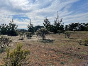 Parcela en Venta en Ciruelos, Bernardo OHiggins, Pichilemu, foto 13