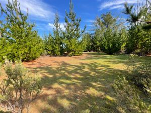 Parcela en Venta en Ciruelos, Bernardo OHiggins, Pichilemu, foto 15