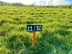 Parcela en Venta en S-705, La Araucanía, Villarrica, foto 14