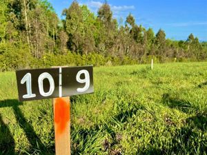 Parcela en Venta en S-705, La Araucanía, Villarrica, foto 8