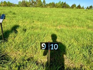 Parcela en Venta en S-705, La Araucanía, Villarrica, foto 13