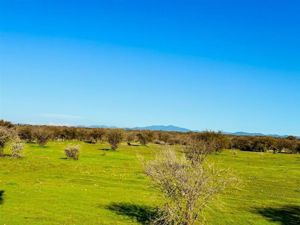 Parcela en Venta en MALLERMO, Bernardo OHiggins, Marchigüe, foto 13
