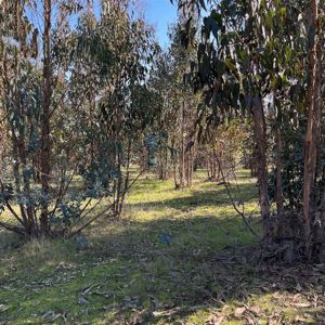 Parcela en Venta en j-80, Maule, Vichuquén, foto 7