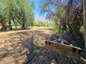 Parcela en Venta en Plazuela de Polpaico, Metropolitana, Tiltil, foto 12