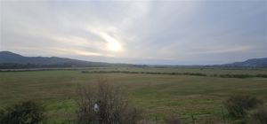 Parcela en Venta en Valle de los Artistas, Maule, Hualañe, foto 14