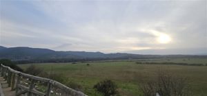 Parcela en Venta en Valle de los Artistas, Maule, Hualañe, foto 13