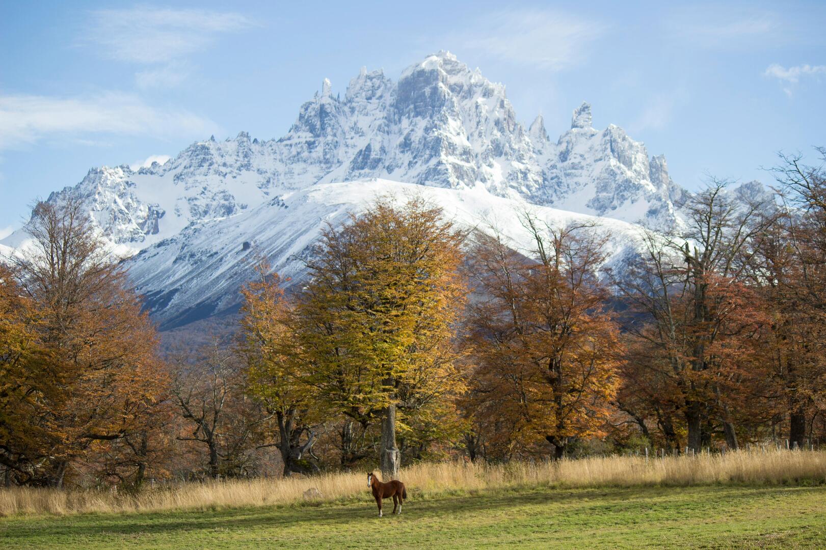 ¿Cuánto cuesta una parcela en Aysén? Precios reales 2026