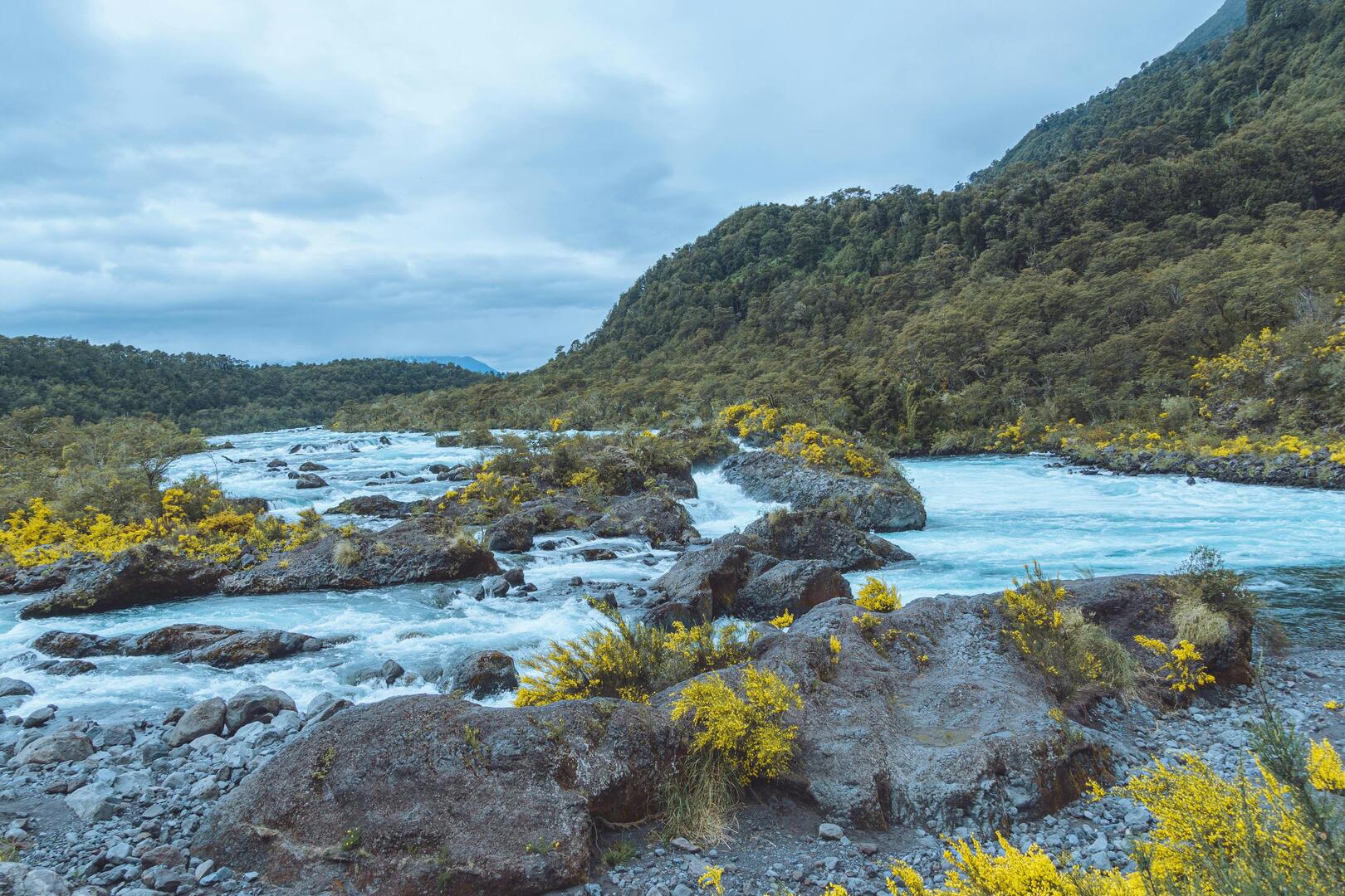 ¿Cuánto cuesta una parcela en Los Lagos? Precios reales 2026