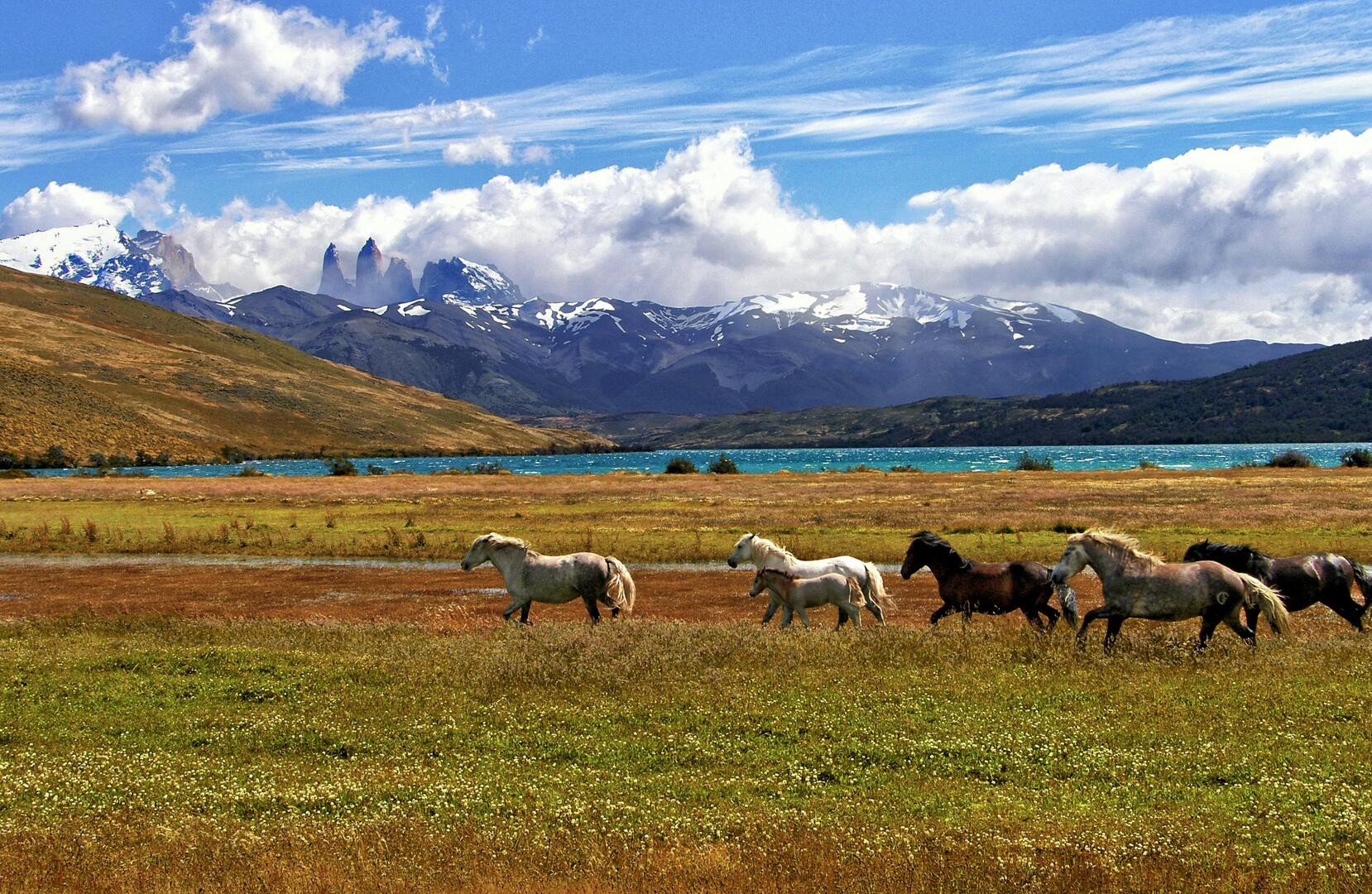 ¿Cuánto cuesta un terreno en Magallanes? Guía de precios 2026