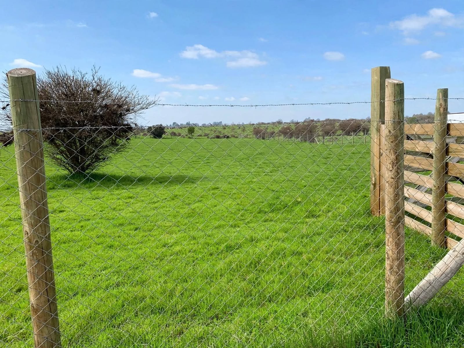 Parcela de 5.000 m² en Loteo El Chequén, Marchigüe