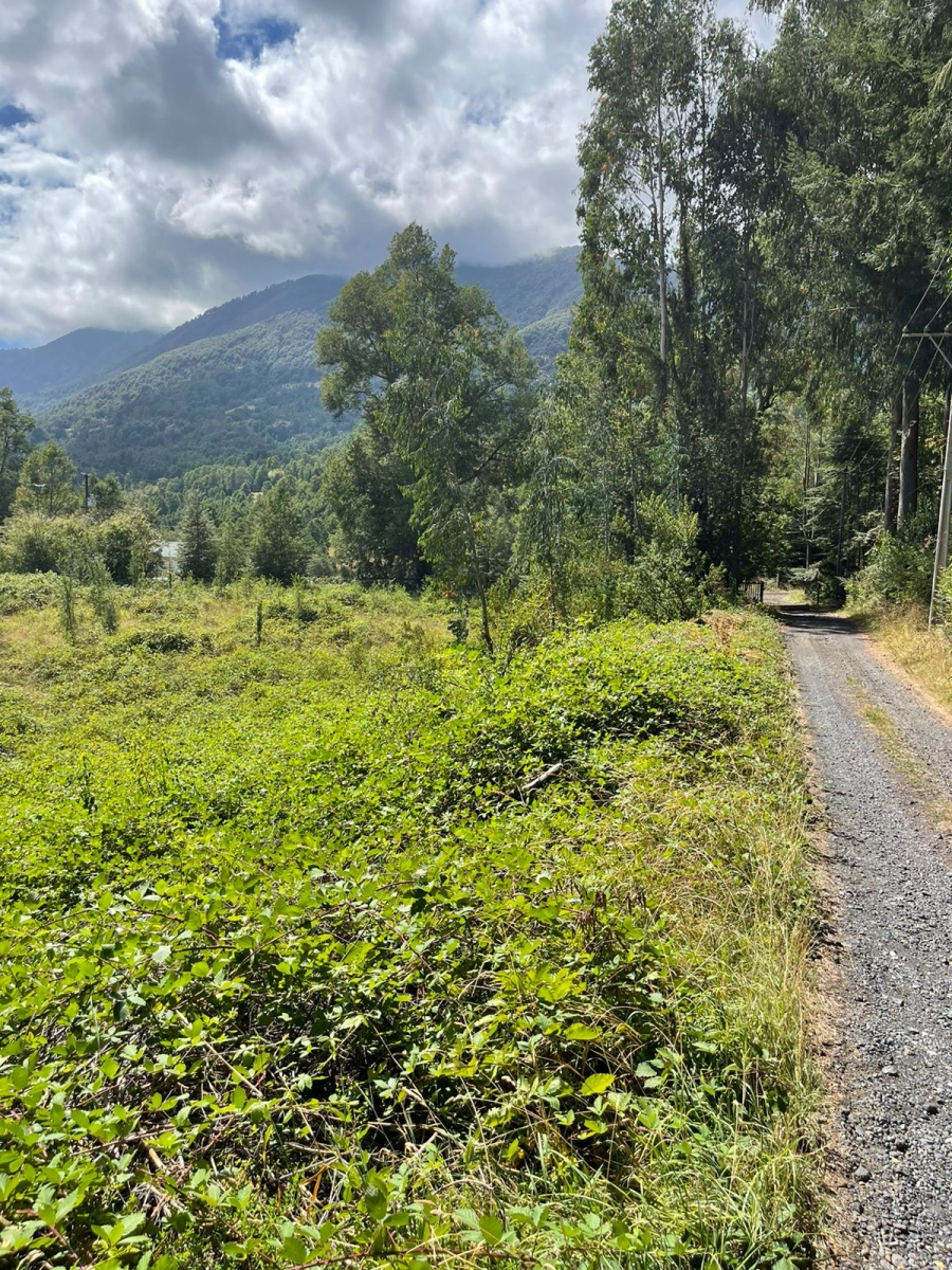 Parcela de 5.000 m² en Trufulco, a 15 km del centro de Pucón - Pucón